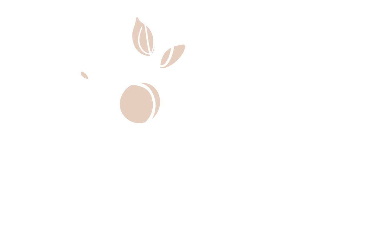 Veronika Zamišková